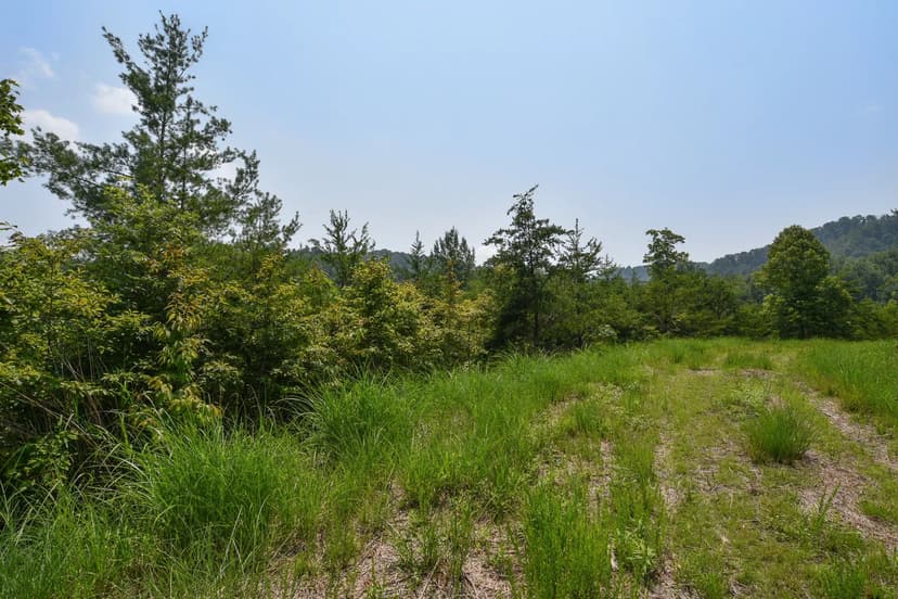 Vacant Land (0-10 Acres) in Marshall