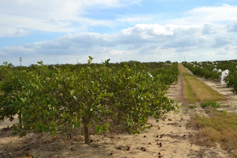 Scenic Hwy Babson Park Grove