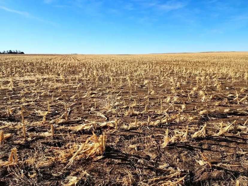 Mostly Tillable Cropland Located near Kimball, NE