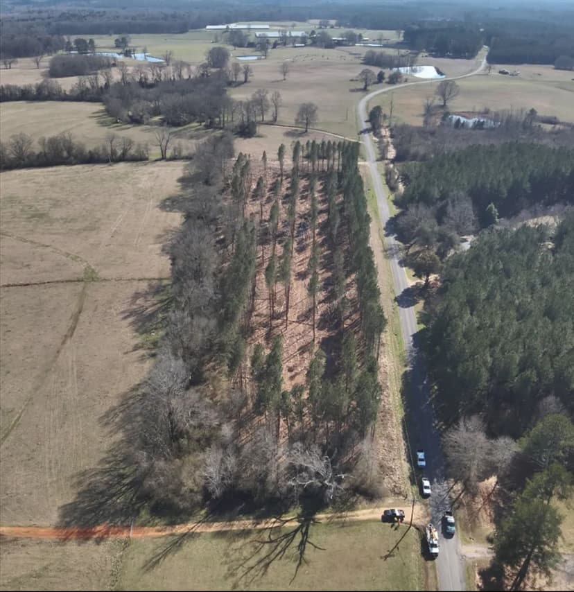 8.11 Acres in Smith County in Bay Springs, MS