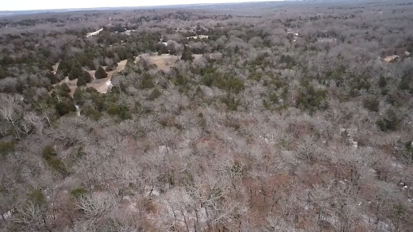 40 Acre Hunting Paradise in Sasakwa, OK