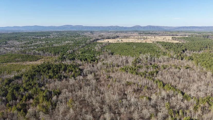 159 Acres in Howard County, AR 