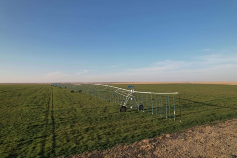 149 +/- Acre Irrigated Farm in Sherman County