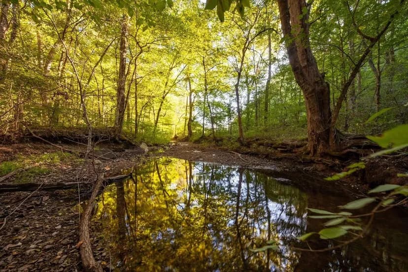 266.03 Acres in Williamson County Tennessee