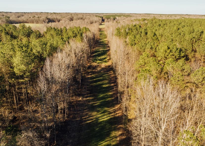 742 Acres in Holmes County, MS 