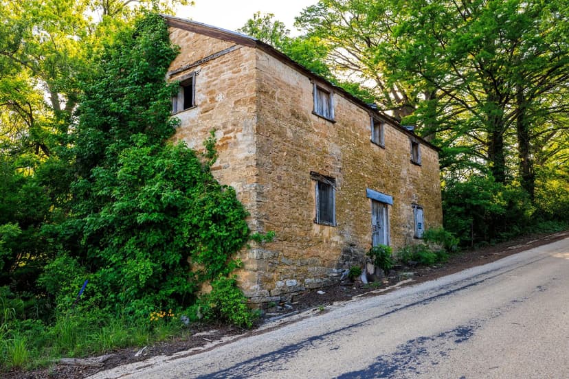 2937 Langes Mill Road - 335.11 Acres