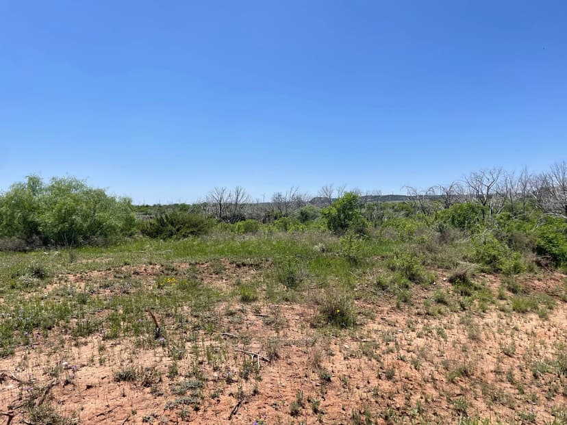 New Listing!! 100 Acres, Taylor County