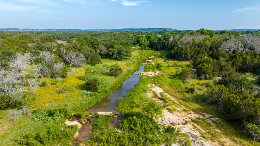 2199 Langes Mill Road - 310 Acres