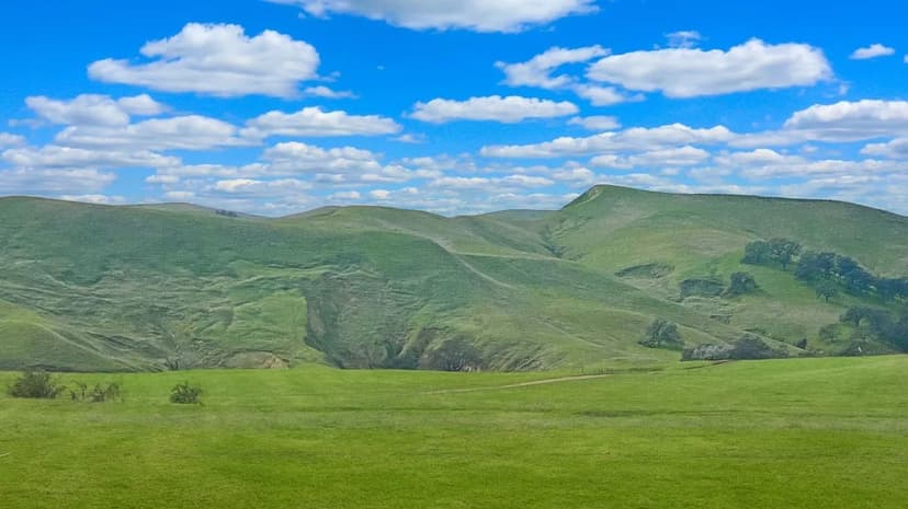 Yolo County, CA Land for Sale - 80-Acre Investment!