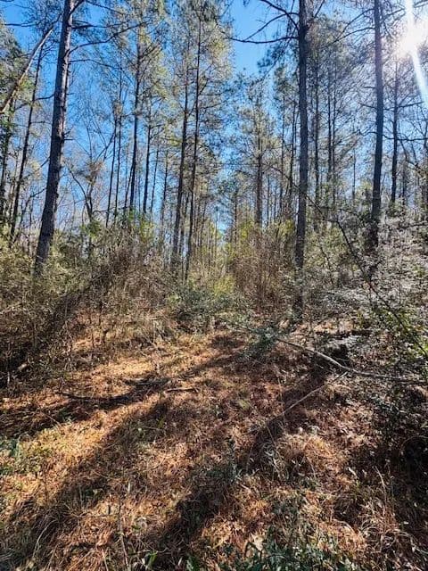 6.33 Acres | Plainview, LA