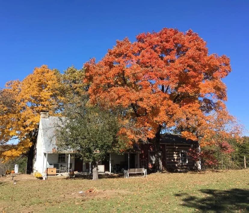 131 AC Whiskey Creek Rd. 