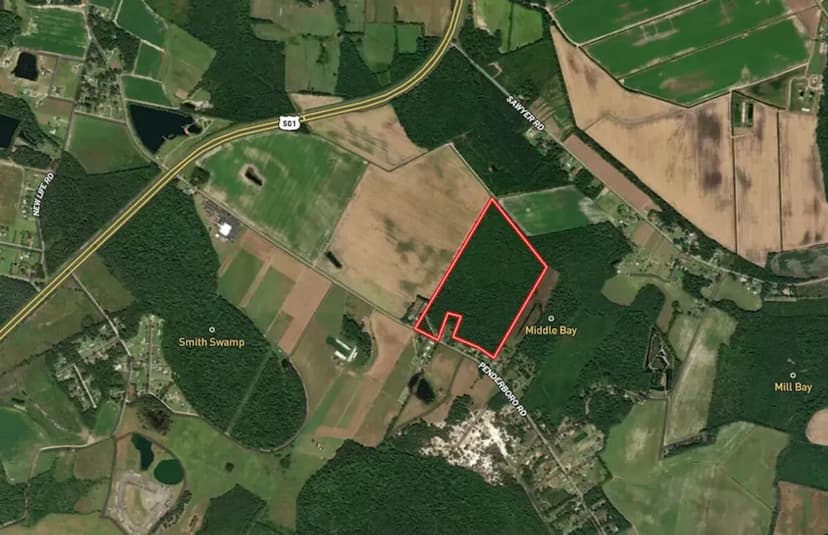 UNDER CONTRACT!!  54.91 acres of Recreational Timberland Land For Sale in Marion County SC!