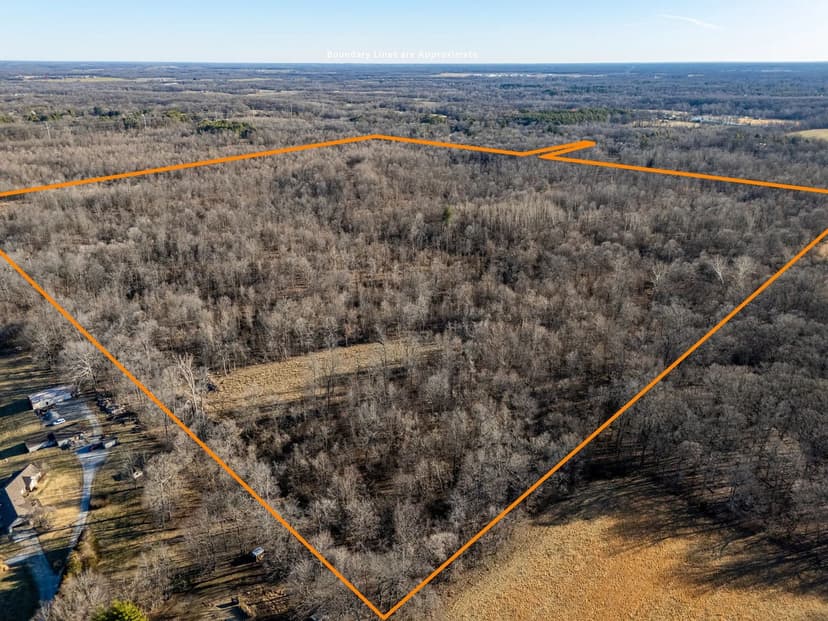 Jackson County Illinois Land for Sale at Auction – Whitetail Woods