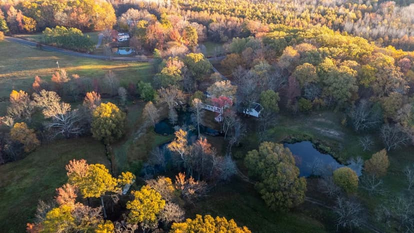 Endless Acres Wildlife Farms