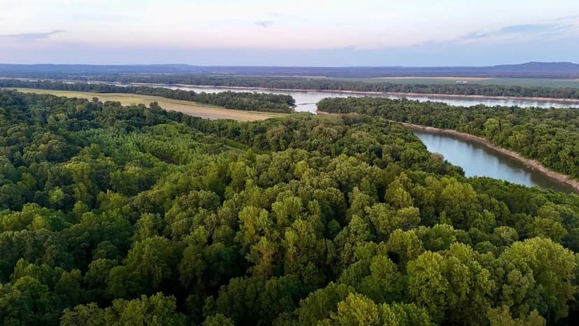 107+/- Acre Property in Cape Girardeau, MO