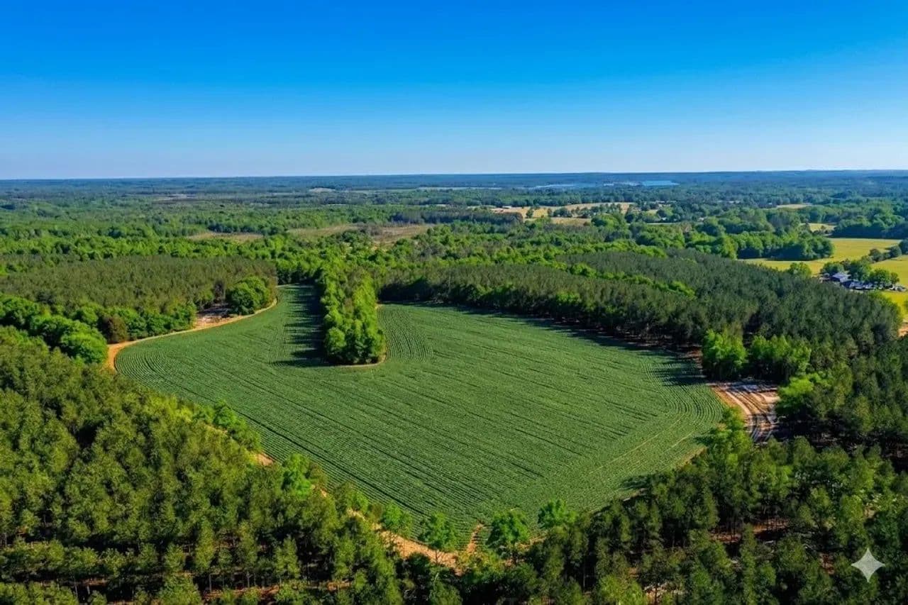 215 Acres to Hunt or Homestead in Hardin County, TN - Saltillo, Tennessee, 38370