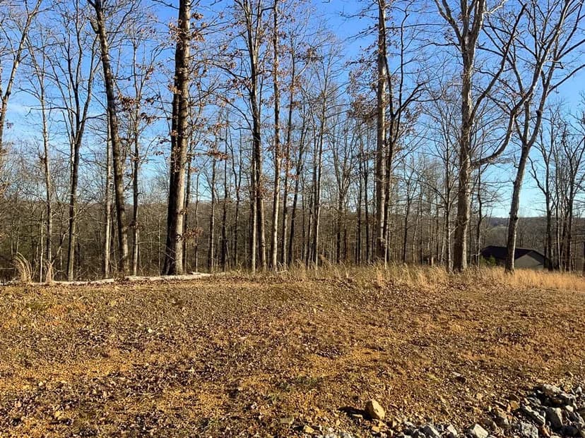 2.44 Acre lot in The Woodlands of Nashville