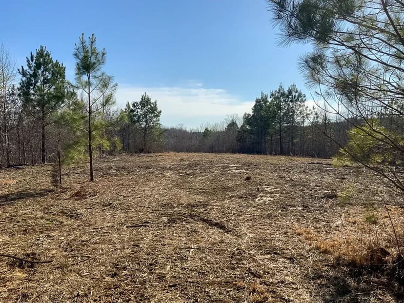 10 Arce lot minutes from Kentucky lake located in Stewart County!