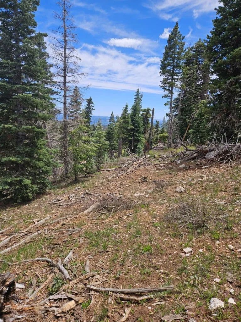 Lots & Land-Other in Duck Creek Village - Duck Creek Village, Utah, 84762