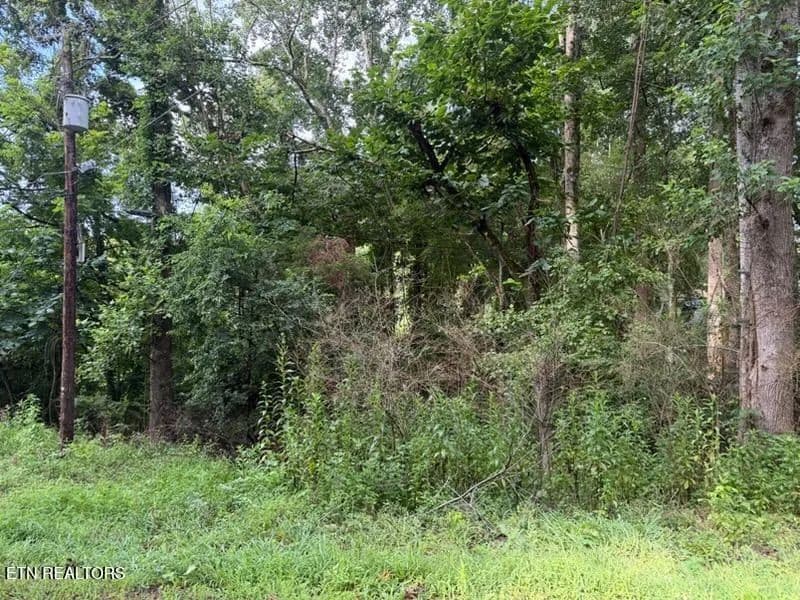 Lots & Land-Other in Rockwood - Rockwood, Tennessee, 37854