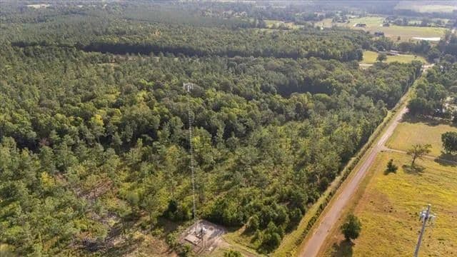 Vacant Land (10+ Acres) in Henderson - Henderson, Texas, 75654
