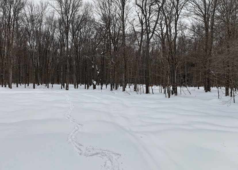 69 acres Tug Hill Hunting Land North Osceola NY