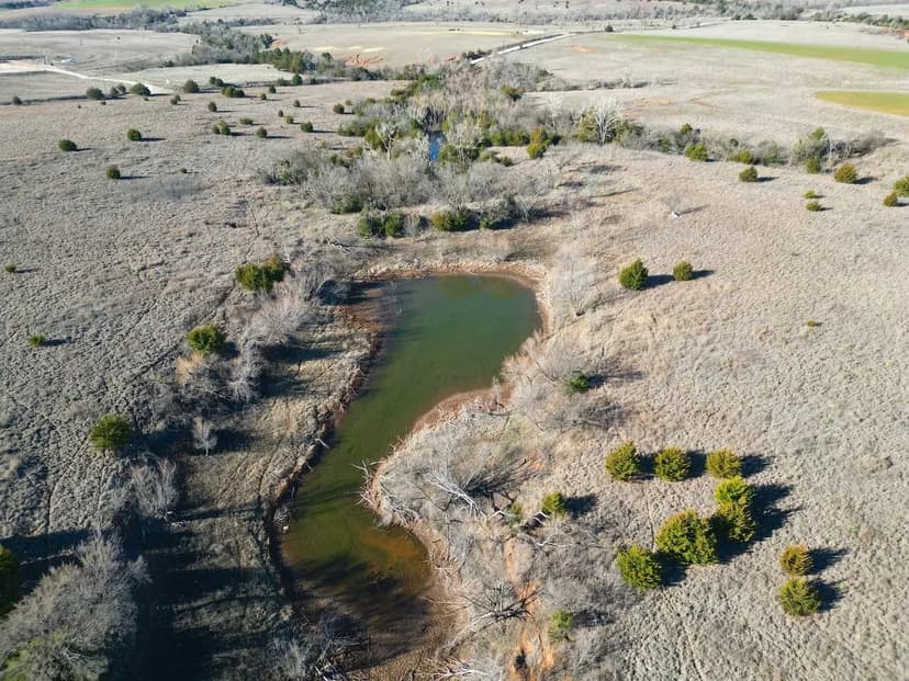 Custer County 80 with Ponds