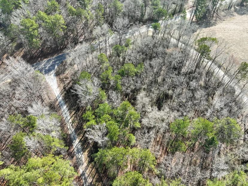 Gorgeous Shelby county Residential Lot (Lot 2)