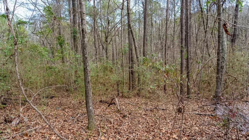 Nice Wooded Lot in Shelby County (Lot 3)