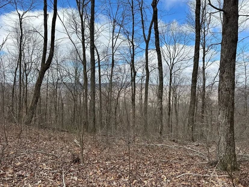 126+/-acres Unrestricted beautiful gently rolling wooded property.