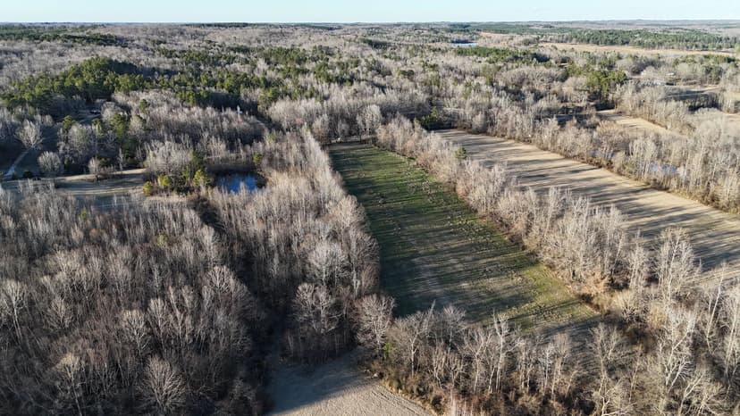 19.71 Acres in Hardeman County, TN 