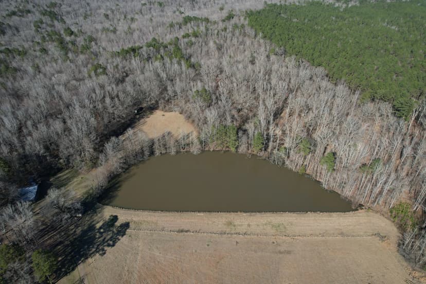 37.2 Acres with a Cabin in Holmes County, MS