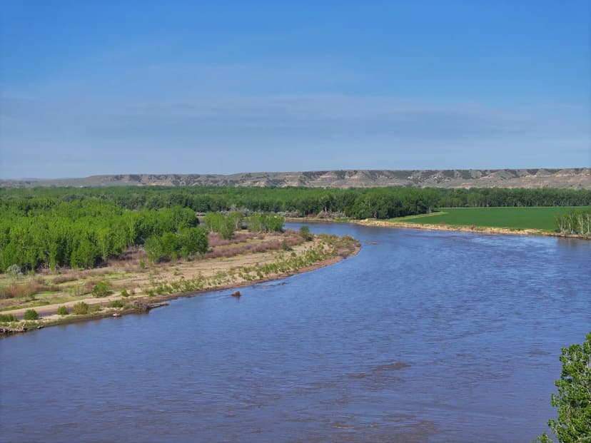  Yellowstone River Waterfowl Paradise