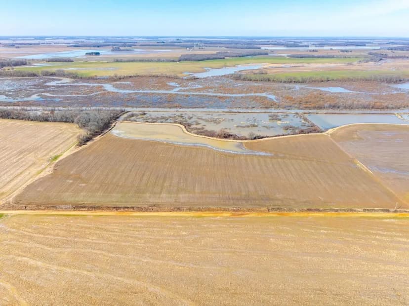 Duck and Goose Hunting Land, 41 +/- Acres, Fair Oaks, Arkansas