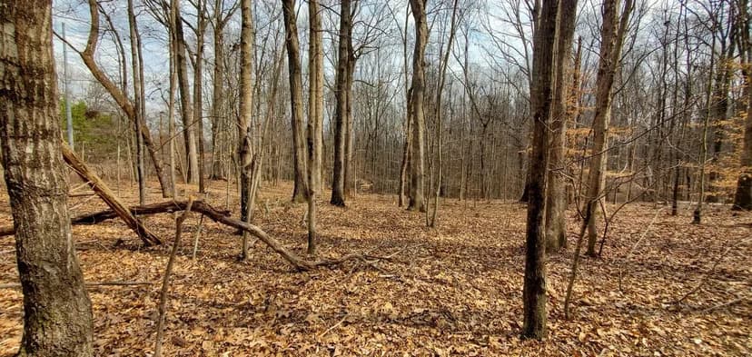 14.97+/- Acres - 579 Hoover Rd Troutman NC - Iredell Co