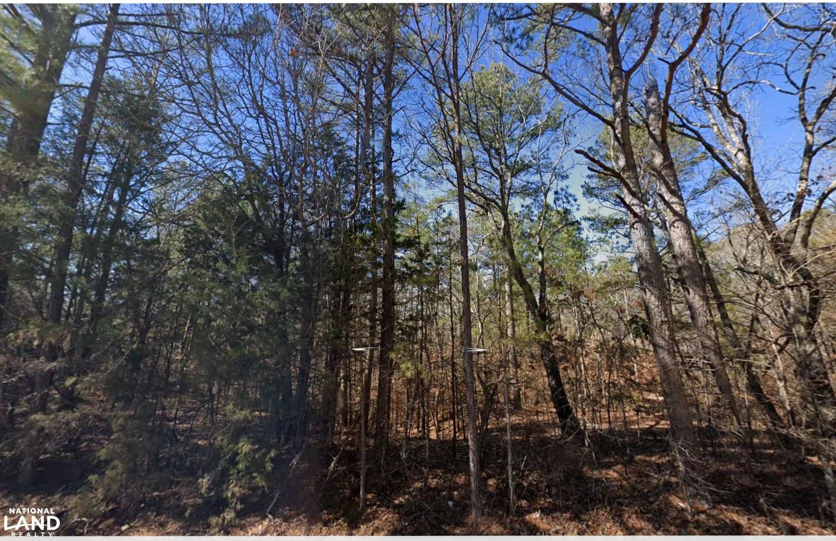 0 Bethesda Purdy Road - Selmer, Tennessee, 38375