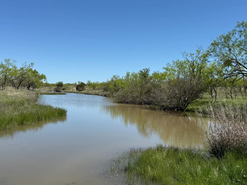 2240 +/- Acres....Hog Creek, House, Elevation, Hunting, Much more!