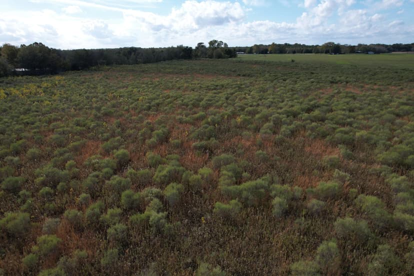 108 Acres in Franklin Parish, LA