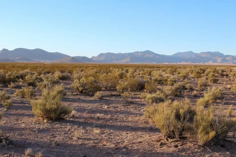 Willow Springs 300 AC Recreational Land