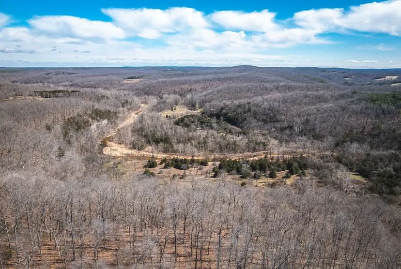 Cast &amp; Blast Courtiois Creek Farm