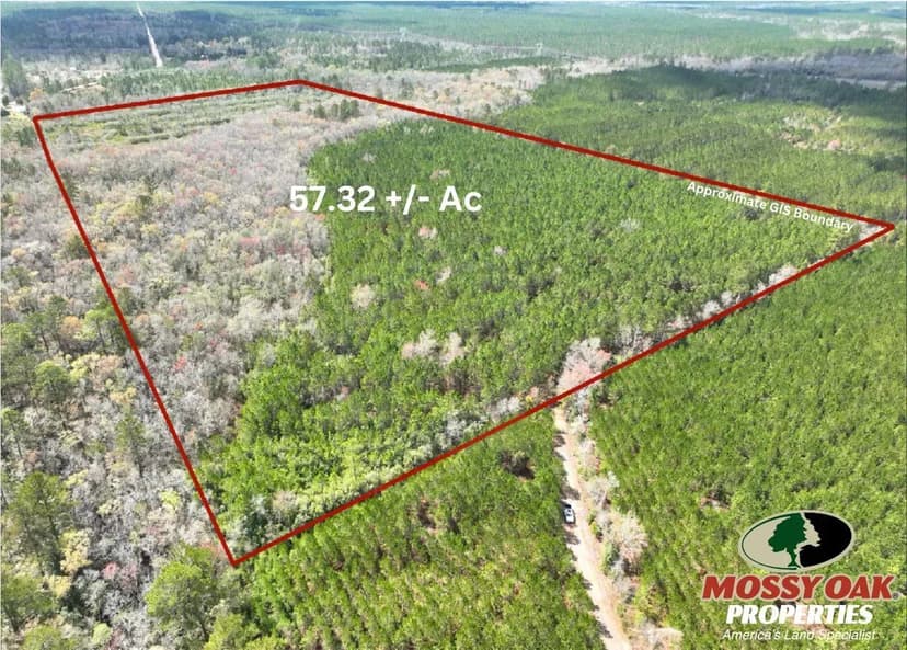 57 +/- ACRES RECREATIONAL LAND FOR SALE IN BRANTLEY COUNTY, GA