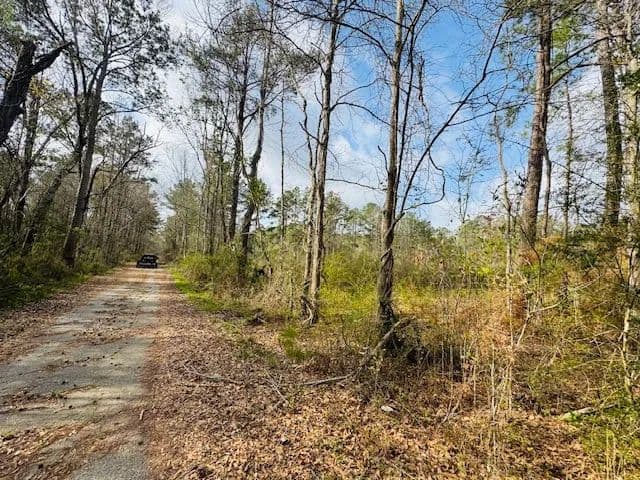 40 Acres on Fortenberry Dr | Columbia, MS