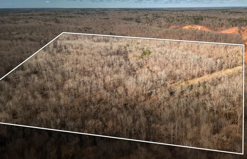 Winona Pioneer Point