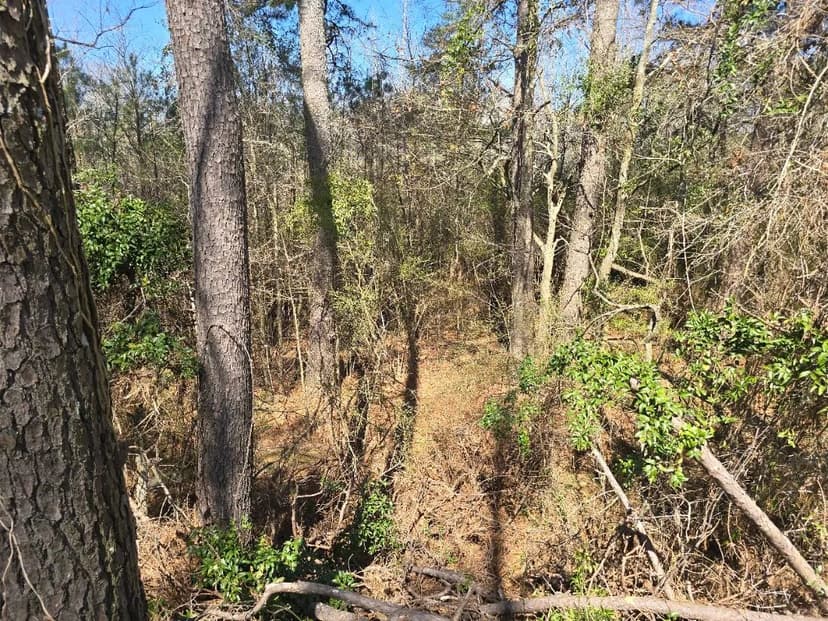 2.7+/- Acres in Simpson County, MS