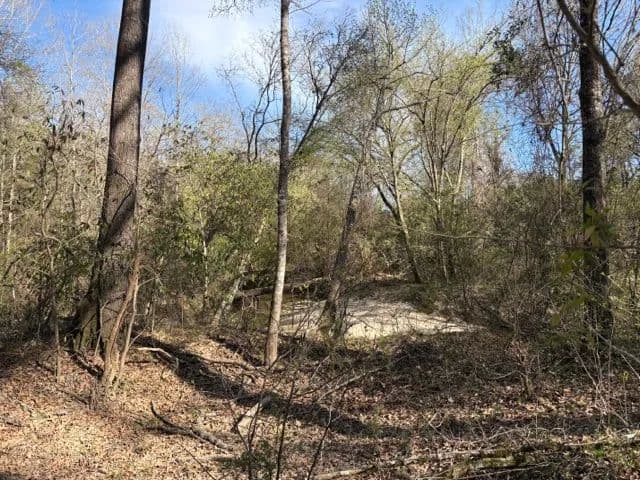 LA - La Salle 34 acres +/-