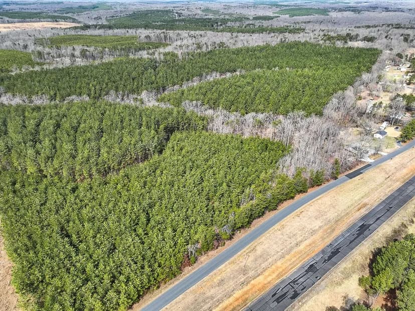 58.75 acres of Timberland For Sale in Buckingham County, VA