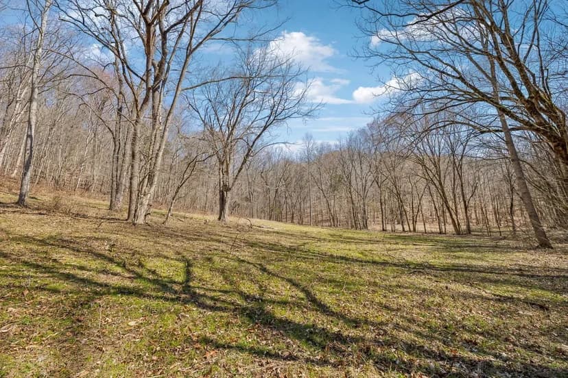 160.5 Acres in Clay County, Tennessee – Excellent Hunting & Recreational Property