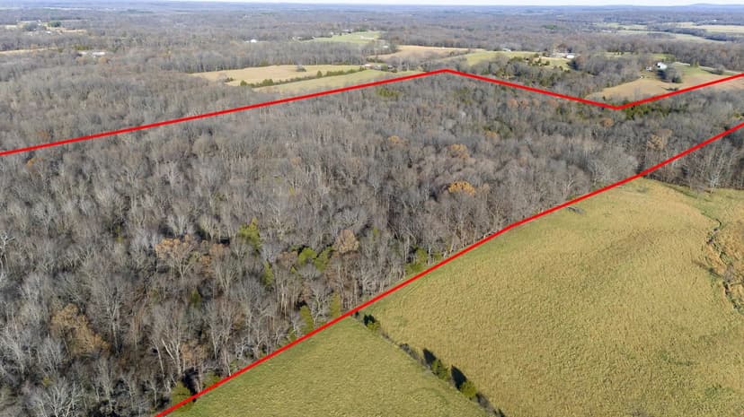 90 Acre Farm in southeast Williamson County IL great deer and Turkey hunting