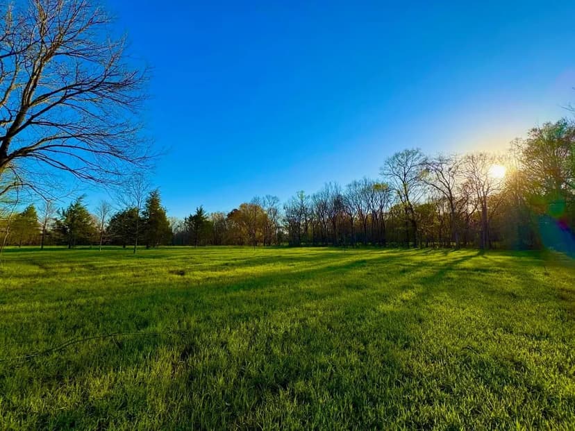 Stunning meadows, woods and creeks in Pike Road