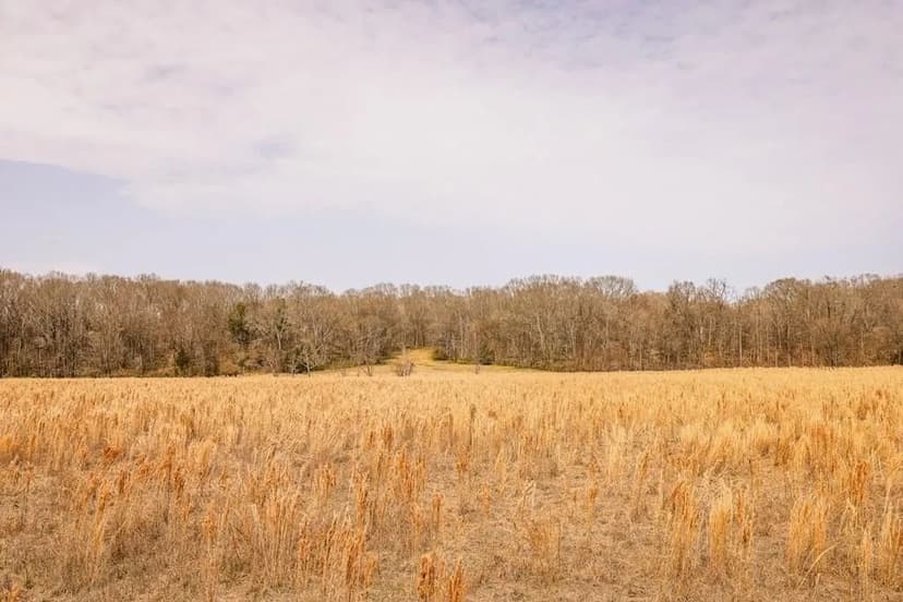Land for Sale in Warren County, MS